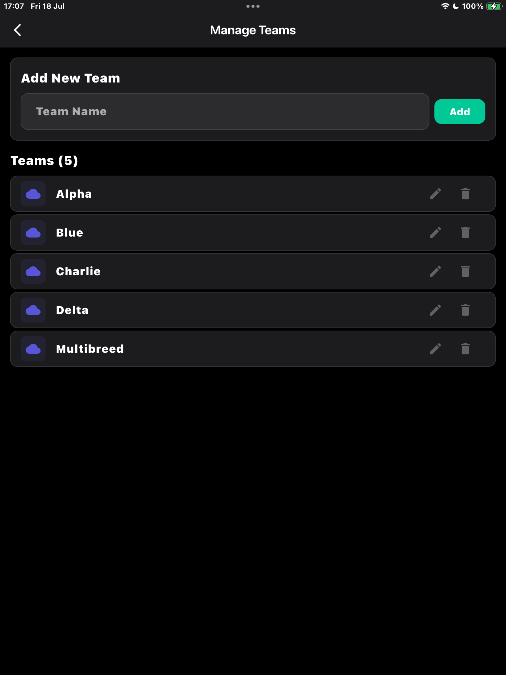 Team Organization Interface